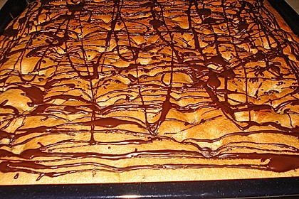 Limokuchen 29