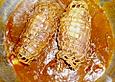 Lamm - Rollbraten
