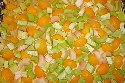 Rhabarber - Aprikosen - Kuchen