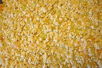 Rhabarber - Aprikosen - Kuchen 1