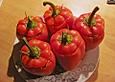 Gef&uuml;llte Paprika