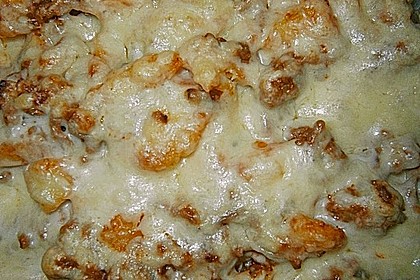 Fenchel - Hack - Gratin 3