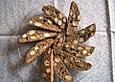 Dinkelcantuccini