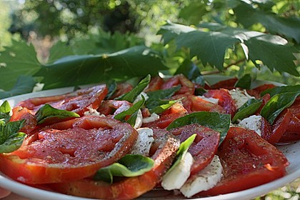 Tomaten - Mozzarella Salat 1