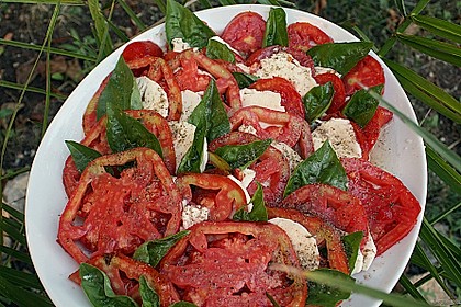 Tomaten - Mozzarella Salat 2