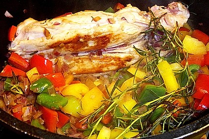 Französisches Kaninchen 1