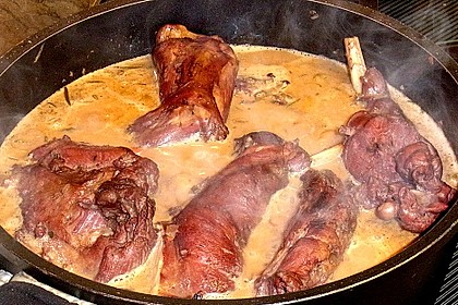 Französisches Kaninchen 2