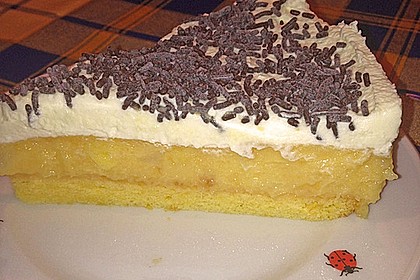 Schwedische Apfeltorte 19
