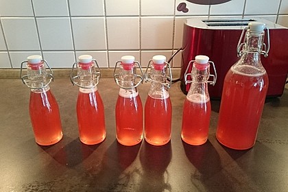 Rhabarber - Sirup 5