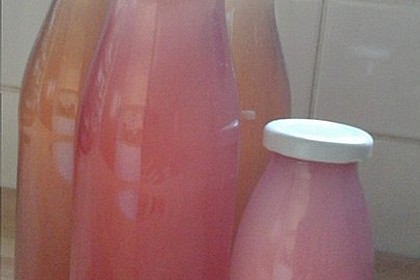 Rhabarber - Sirup 12