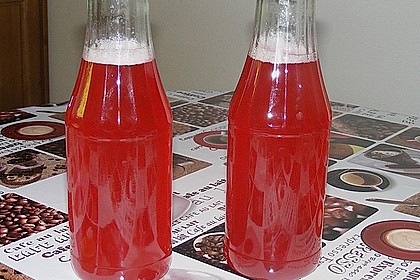 Rhabarber - Sirup 32