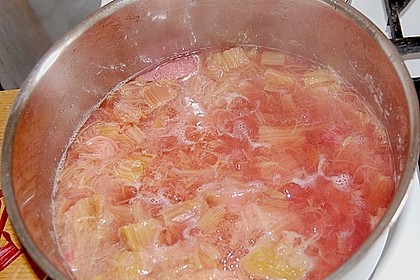 Rhabarber - Sirup 37
