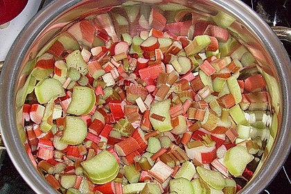 Rhabarber - Sirup 29