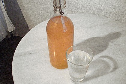 Rhabarber - Sirup 38