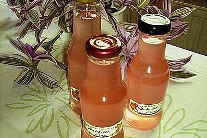 Rhabarber - Sirup 23