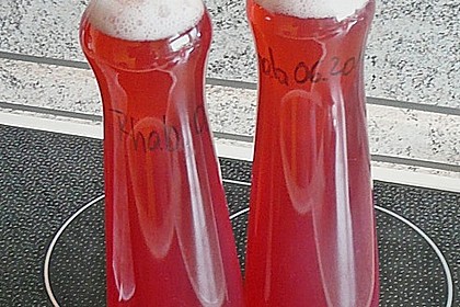 Rhabarber - Sirup 24