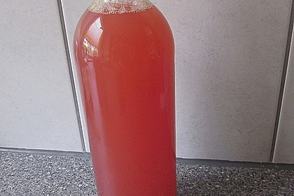 Rhabarber - Sirup 27