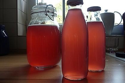 Rhabarber - Sirup 26