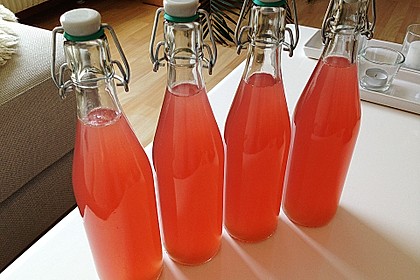 Rhabarber - Sirup 15