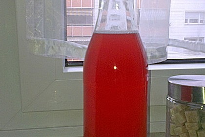 Rhabarber - Sirup 30