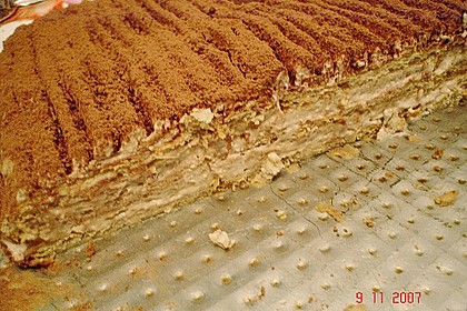 Tiramisu 77