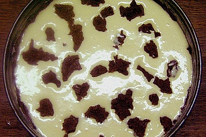 Russischer Zupfkuchen 20