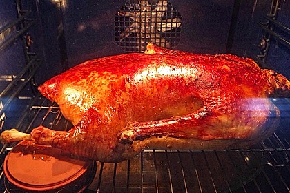 Gänsebraten à la Frl. Jensen 12