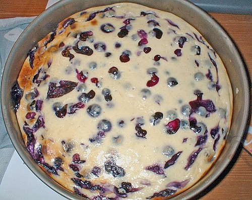 Schmandtorte Mit Mandarinen Und Vanillepudding - Rezepte Suchen