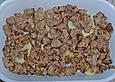 Champignon - Hackfleisch - Auflauf
