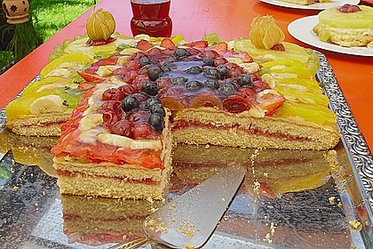 Obstkuchen mit gef&uuml;lltem Biskuit und Pudding 1