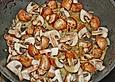 Rinderfilet mit Champignon - Sahne - Sauce