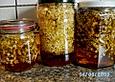 Holunderbl&uuml;ten - Apfel - Gelee