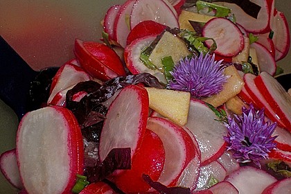 Radieschen - Salat 32