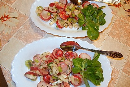 Radieschen - Salat 19