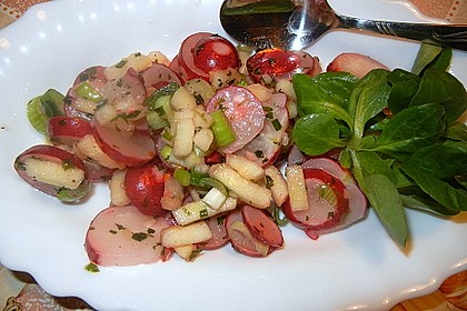 Radieschen - Salat 21
