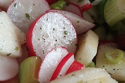 Radieschen - Salat 14