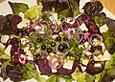 Blattsalat mit Roter Bete und Schafsk&auml;se