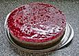 Johannisbeer - Vanillecreme - Torte