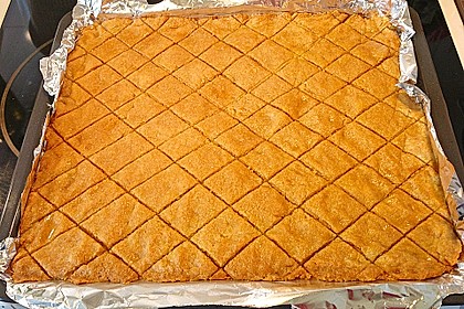 Basbussa 5