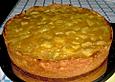 Rhabarberkuchen mit Puddingmasse