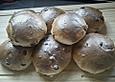 Rosinenbr&ouml;tchen