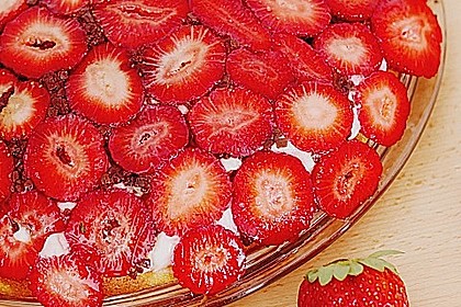 Erdbeerjoghurt - Kuppeltorte 8