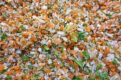 Eingesalzenes Gemüse für Gemüsebrühe 7