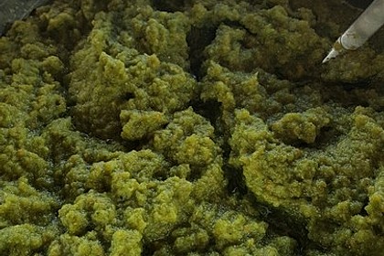 Eingesalzenes Gemüse für Gemüsebrühe 20