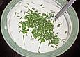 Schnittlauch  Dip