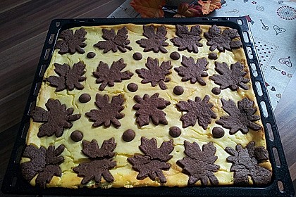 Russischer Zupfkuchen vom Blech für den Kindergeburtstag 24