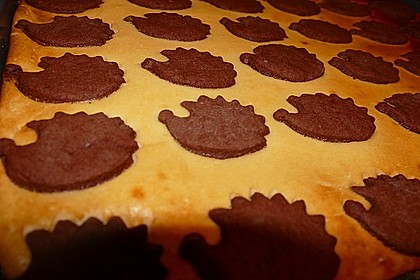Russischer Zupfkuchen vom Blech für den Kindergeburtstag 29
