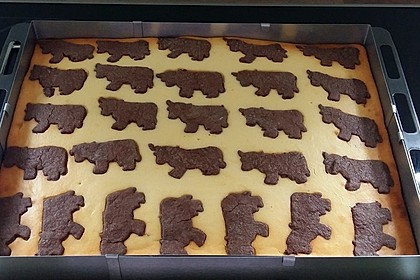 Russischer Zupfkuchen vom Blech für den Kindergeburtstag 5