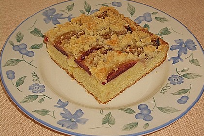 Pflaumenkuchen mit Streuseln 11