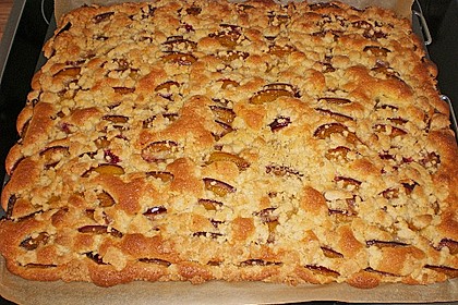 Pflaumenkuchen mit Streuseln 14